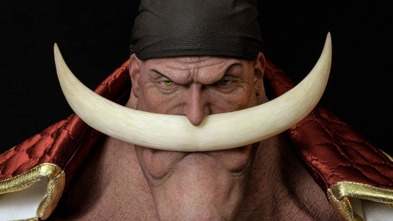 JND Studios - Barbe Blanche/Whitebeard