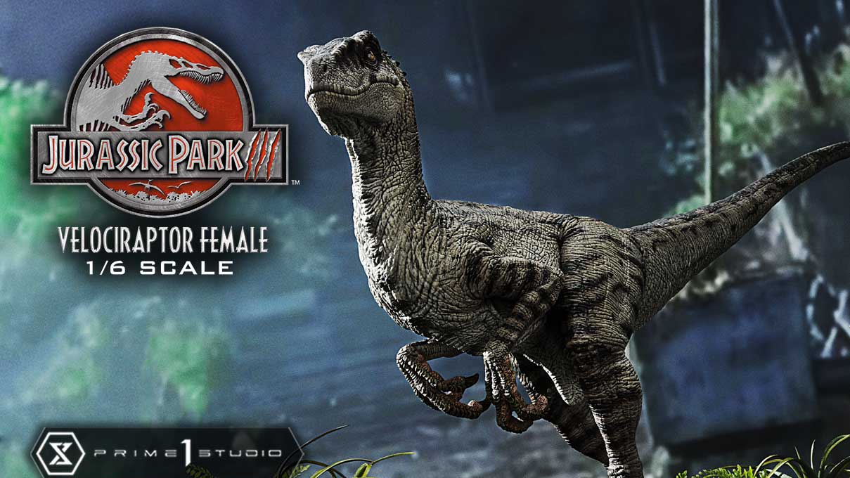 Prime 1 Studio - Velociraptor Female - Legacy Museum Collection (regular version)