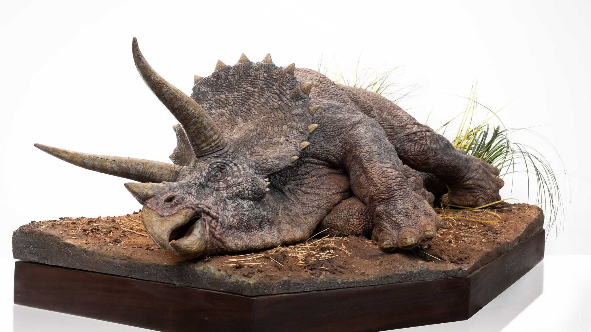Elite Creature Collectibles - ECC - Sick Triceratops